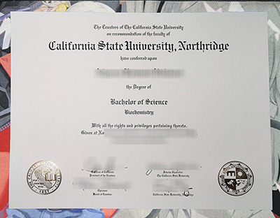 CSUN Diploma