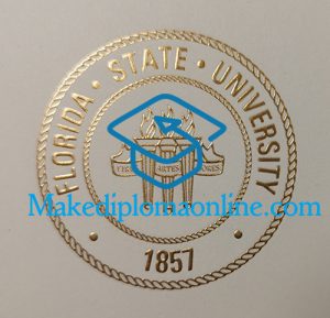 Florida State University Diploma seal