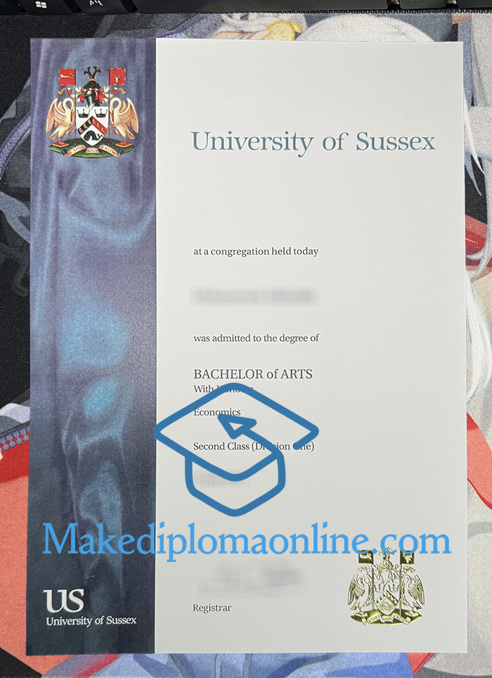 University of Sussex Degree