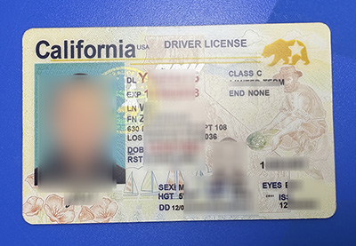 California Driver License