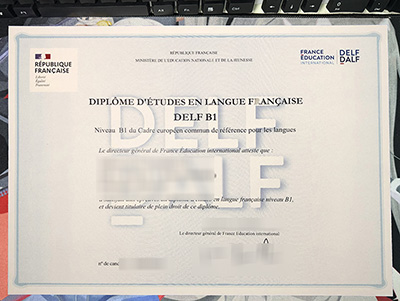 DELF B1 Certificate