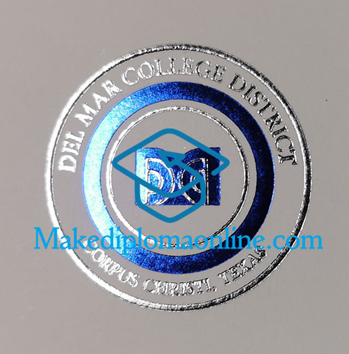 DMC Diploma seal