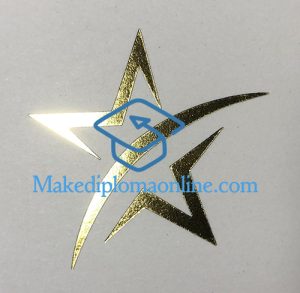 Lone Star College Diploma seal