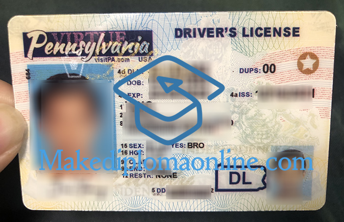 Fake Pennsylvania Driver's License