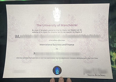 University of Manchester Degree