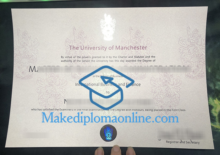 University of Manchester Degree