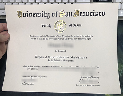 USF Diploma