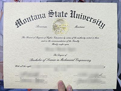 Montana State University Diploma