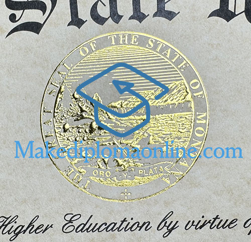 Montana State University Diploma seal
