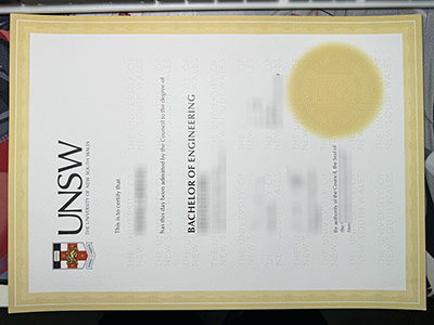 UNSW Diploma
