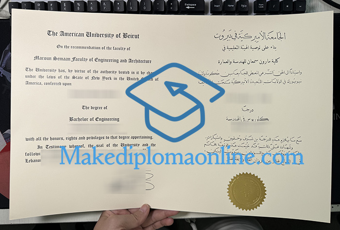 AUB Diploma