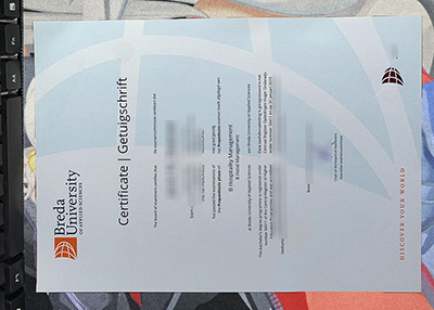 Breda University of Applied Sciences Diploma