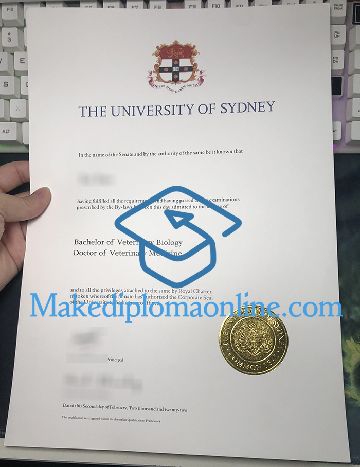 USYD Degree