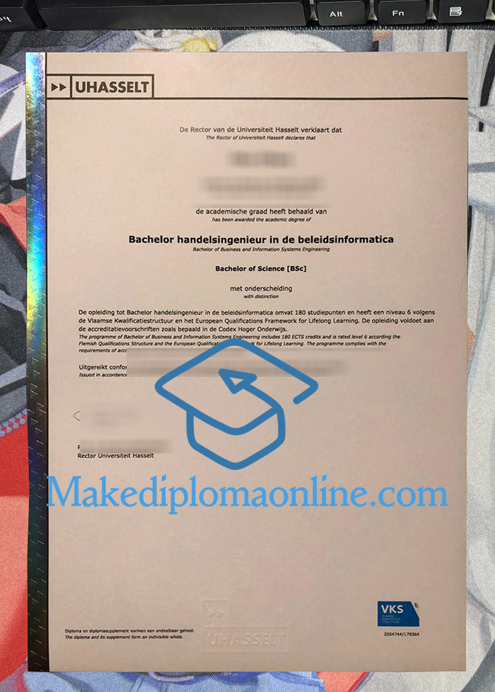 Universiteit Hasselt Diploma