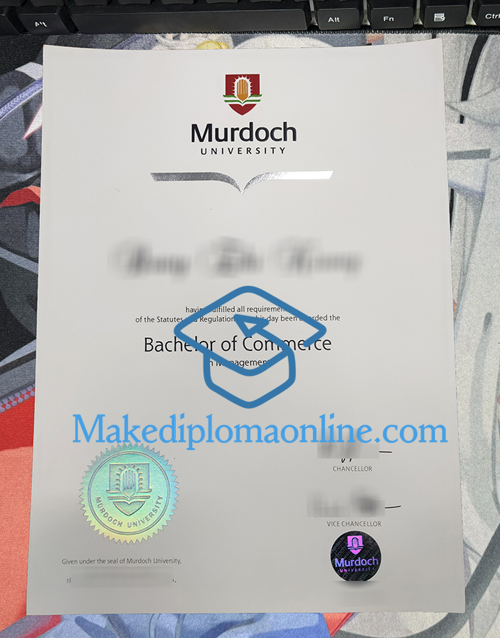 Murdoch University Degree