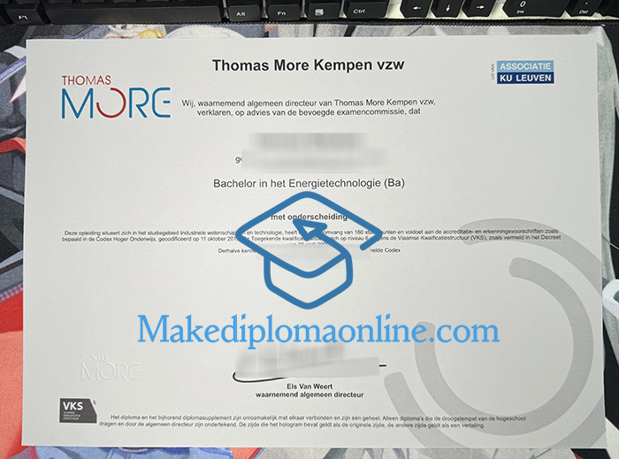 Thomas More Diploma