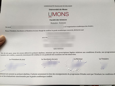 University of Mons Diploma