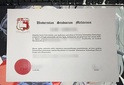 University of Malta Diploma