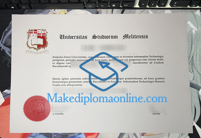 University of Malta Diploma