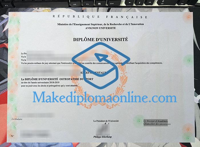 Avignon Université Diploma