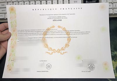 Université Lumière Lyon 2 Diploma