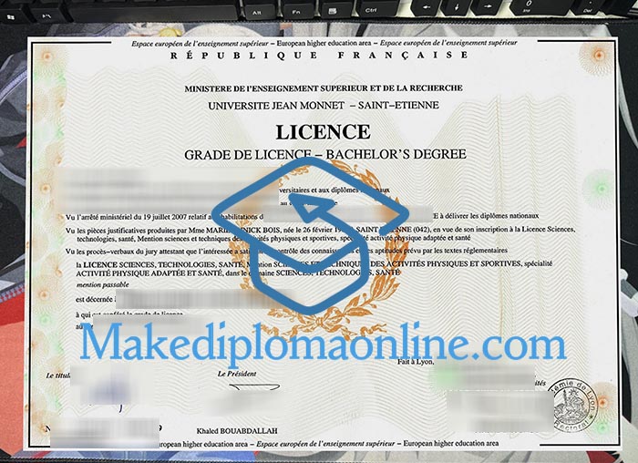 Jean Monnet University Diploma