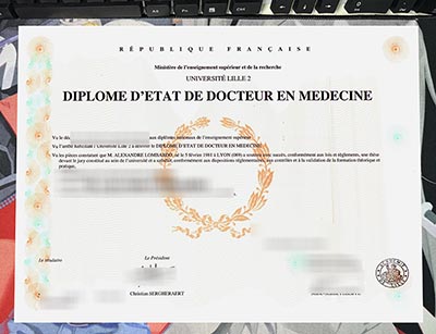 Université de Lille Diploma