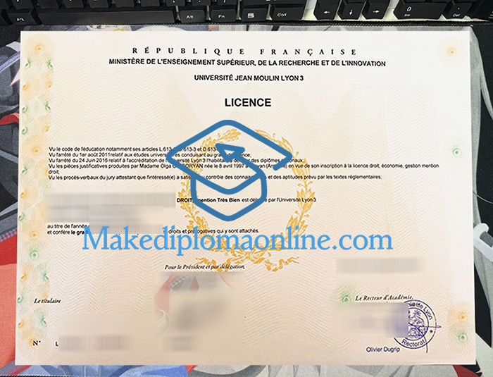 Université Jean Moulin Lyon 3 Diploma