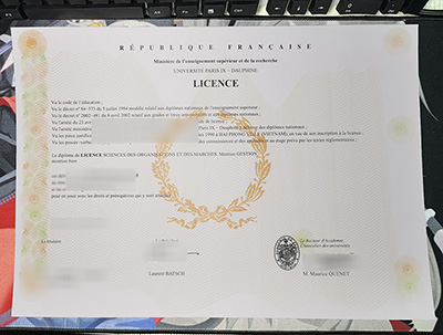 Paris Dauphine University Diploma