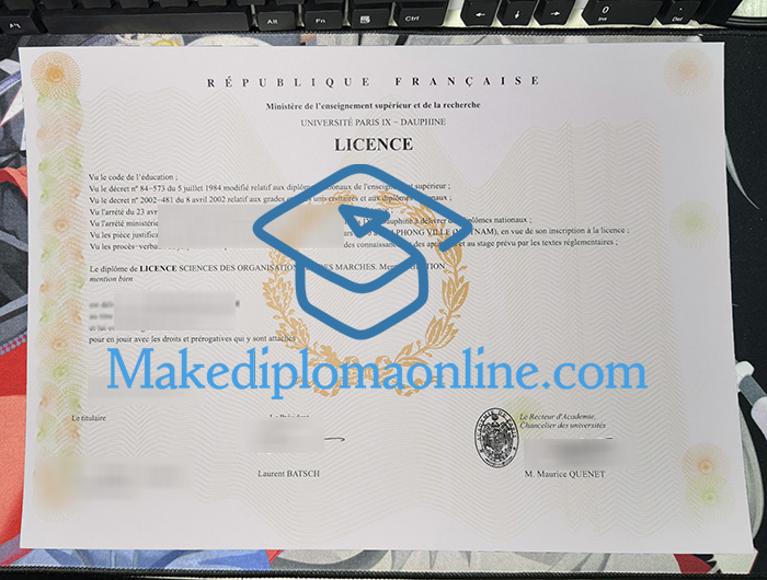 Paris Dauphine University Diploma