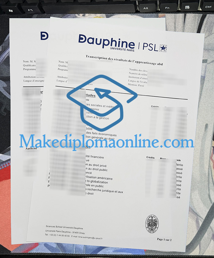 Paris Dauphine University Transcript