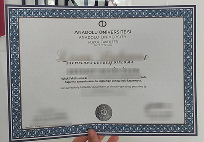 Anadolu University Diploma