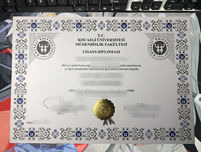 Kocaeli University Diploma