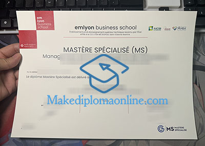 EM Lyon Business School Diploma