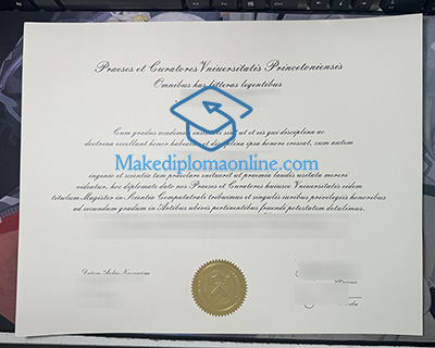 Princeton University Diploma