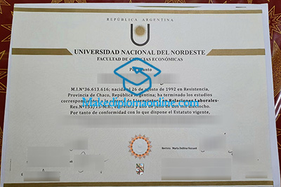 UNNE Diploma