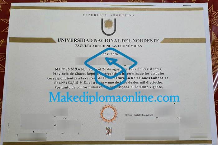 Universidad Nacional del Nordeste Diploma