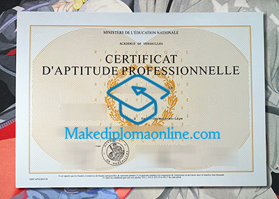Académie de Versailles Diploma
