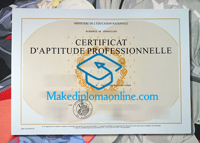 Académie de Versailles Diploma