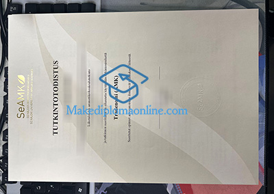 SEAMK Degree Certificate