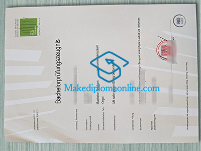 Anton Bruckner Privatuniversität Zeugnis