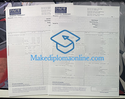 Pace University Transcript