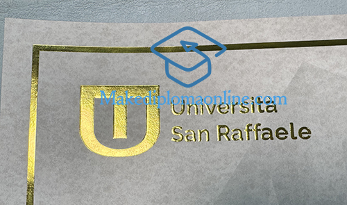San Raffaele Diploma seal