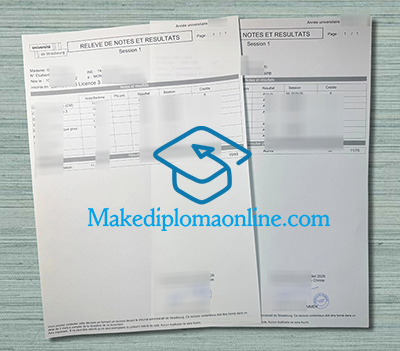 Université de Strasbourg Transcript