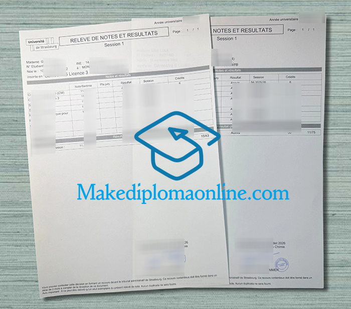 Université de Strasbourg Transcript Université de Strasbourg Transcript